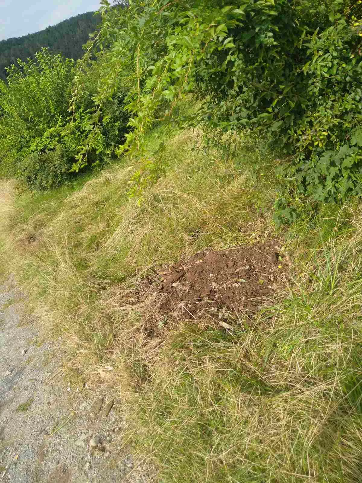 Großprojekt Hafnersee, Entsorgung und Entrümpelung der Abfälle von Dauercampern Großprojekt Hafnersee, Entsorgung und Entrümpelung der Abfälle von Dauercampern