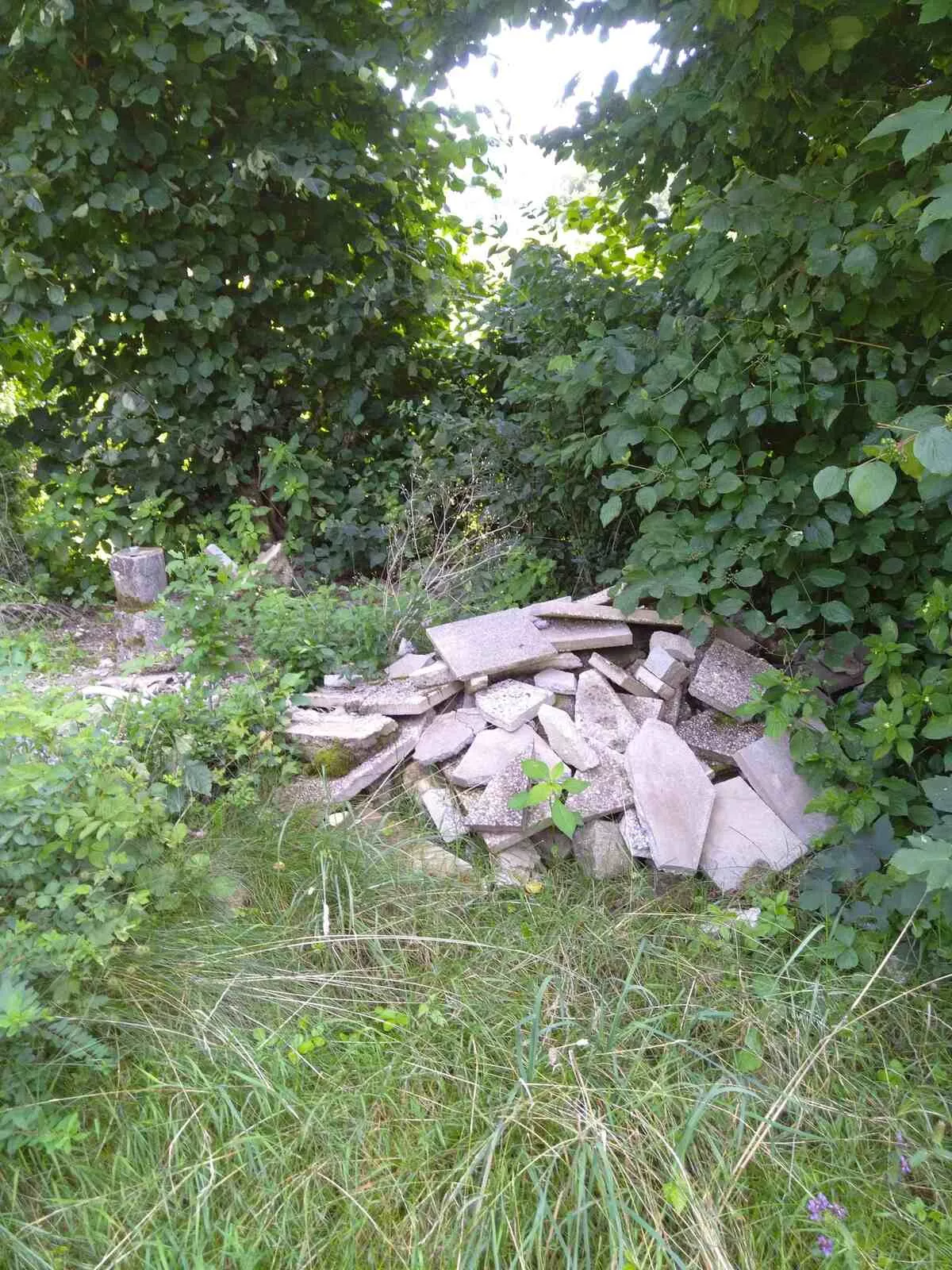 Großprojekt Hafnersee, Entsorgung und Entrümpelung der Abfälle von Dauercampern Großprojekt Hafnersee, Entsorgung und Entrümpelung der Abfälle von Dauercampern