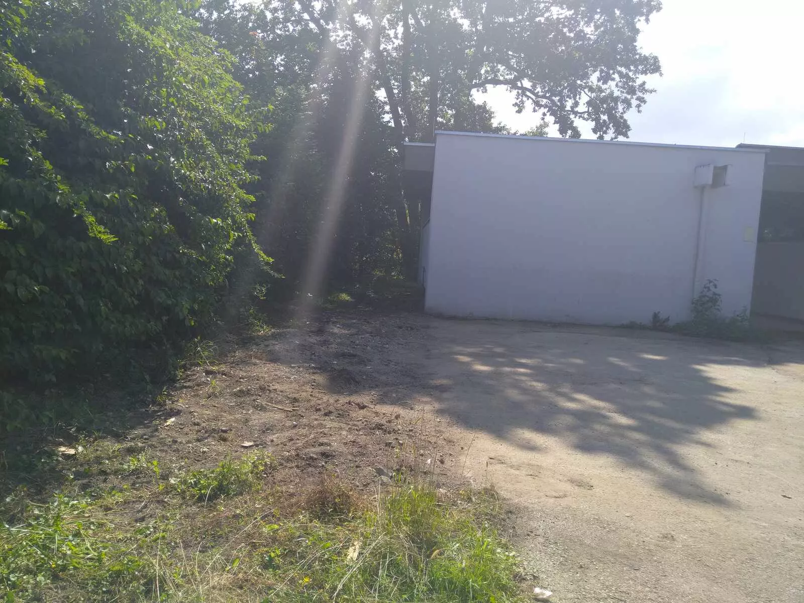 Großprojekt Hafnersee, Entsorgung und Entrümpelung der Abfälle von Dauercampern Großprojekt Hafnersee, Entsorgung und Entrümpelung der Abfälle von Dauercampern